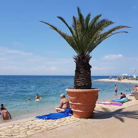 Sukalo * Izola